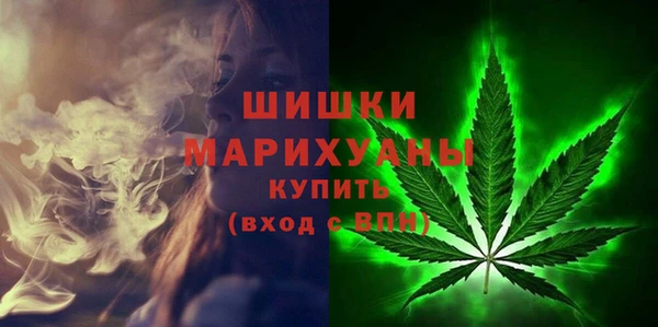 спиды Гусев