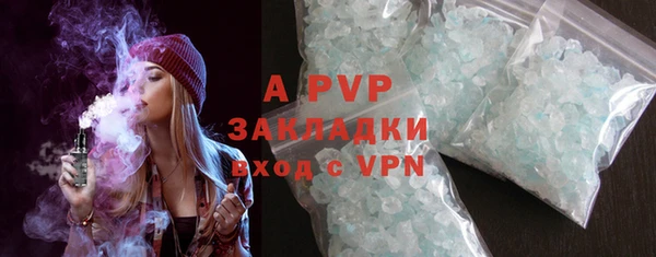 спиды Гусев