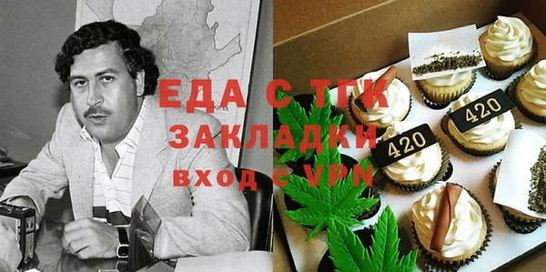 прущие грибы Гусиноозёрск