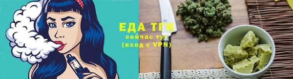 спиды Гусев