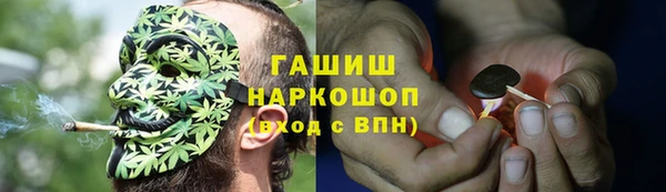 прущие грибы Гусиноозёрск