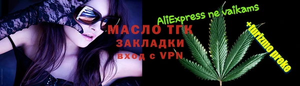 прущие грибы Гусиноозёрск