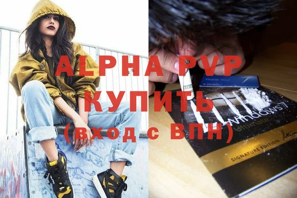 спиды Гусев