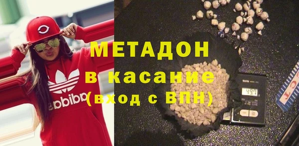 прущие грибы Гусиноозёрск