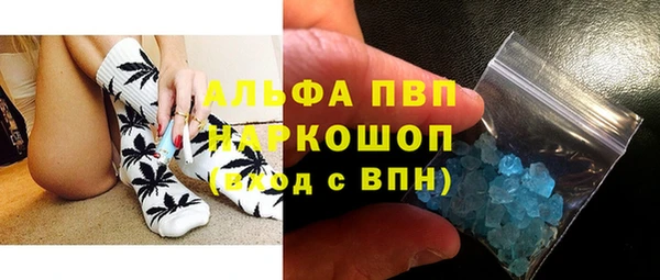 прущие грибы Гусиноозёрск
