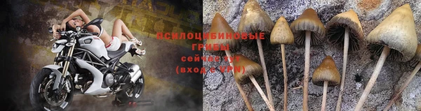 спиды Гусь-Хрустальный