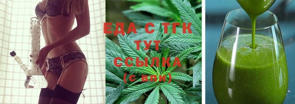 прущие грибы Гусиноозёрск
