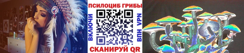 Псилоцибиновые грибы GOLDEN TEACHER  сколько стоит  Острогожск 