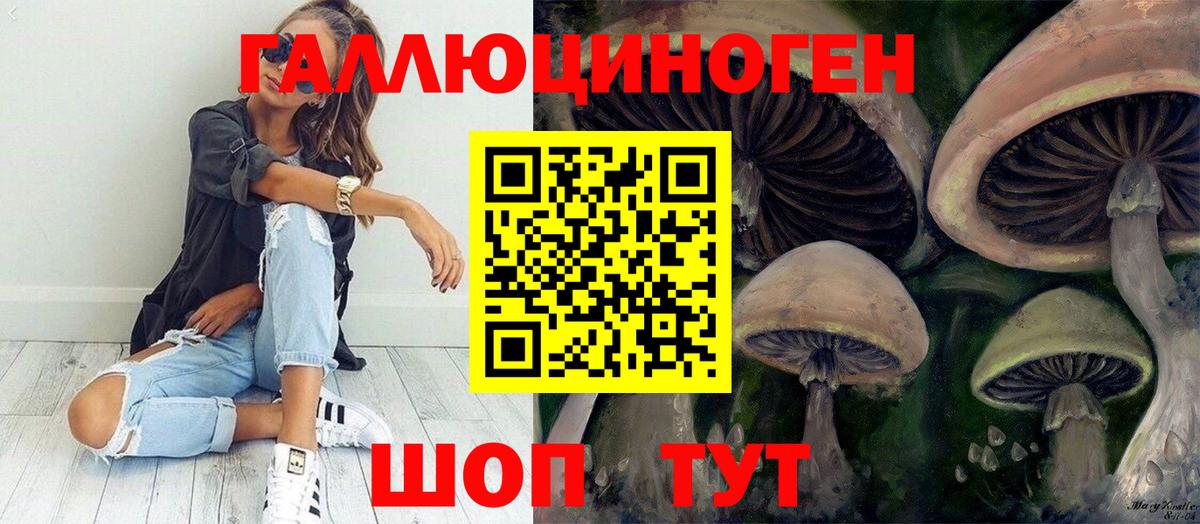 Псилоцибиновые грибы Psilocybe Острогожск