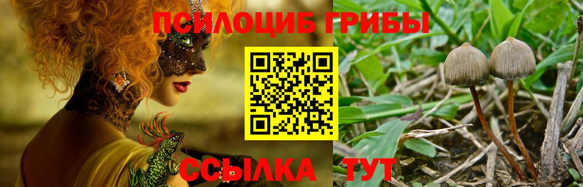 Псилоцибиновые грибы Magic Shrooms  Острогожск 