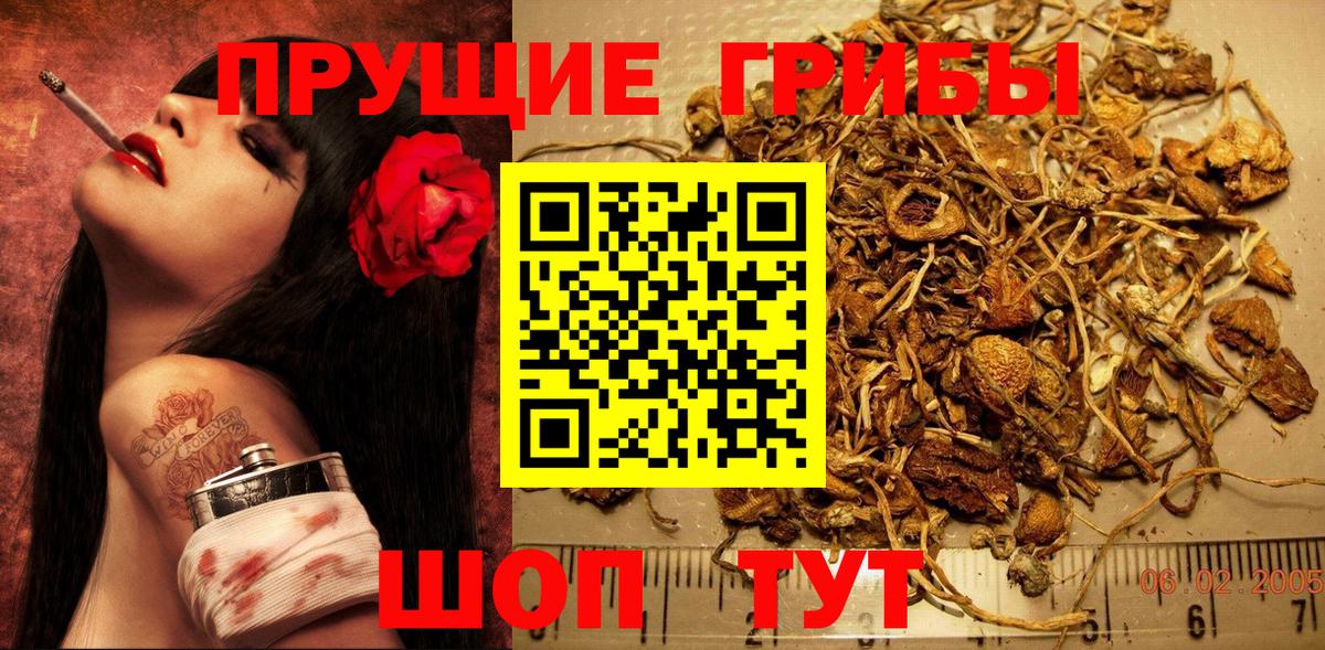 дарнет шоп  Вход с VPN  Галлюциногенные грибы мицелий  Острогожск  Псилоцибиновые грибы прущие грибы 